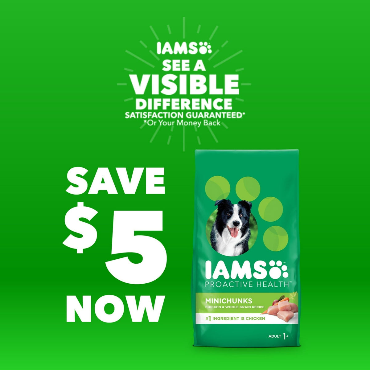 Iams Proactive Health Minichunks Dry Dog Food With Real Lamb & Rice, 15 Lb. Bag