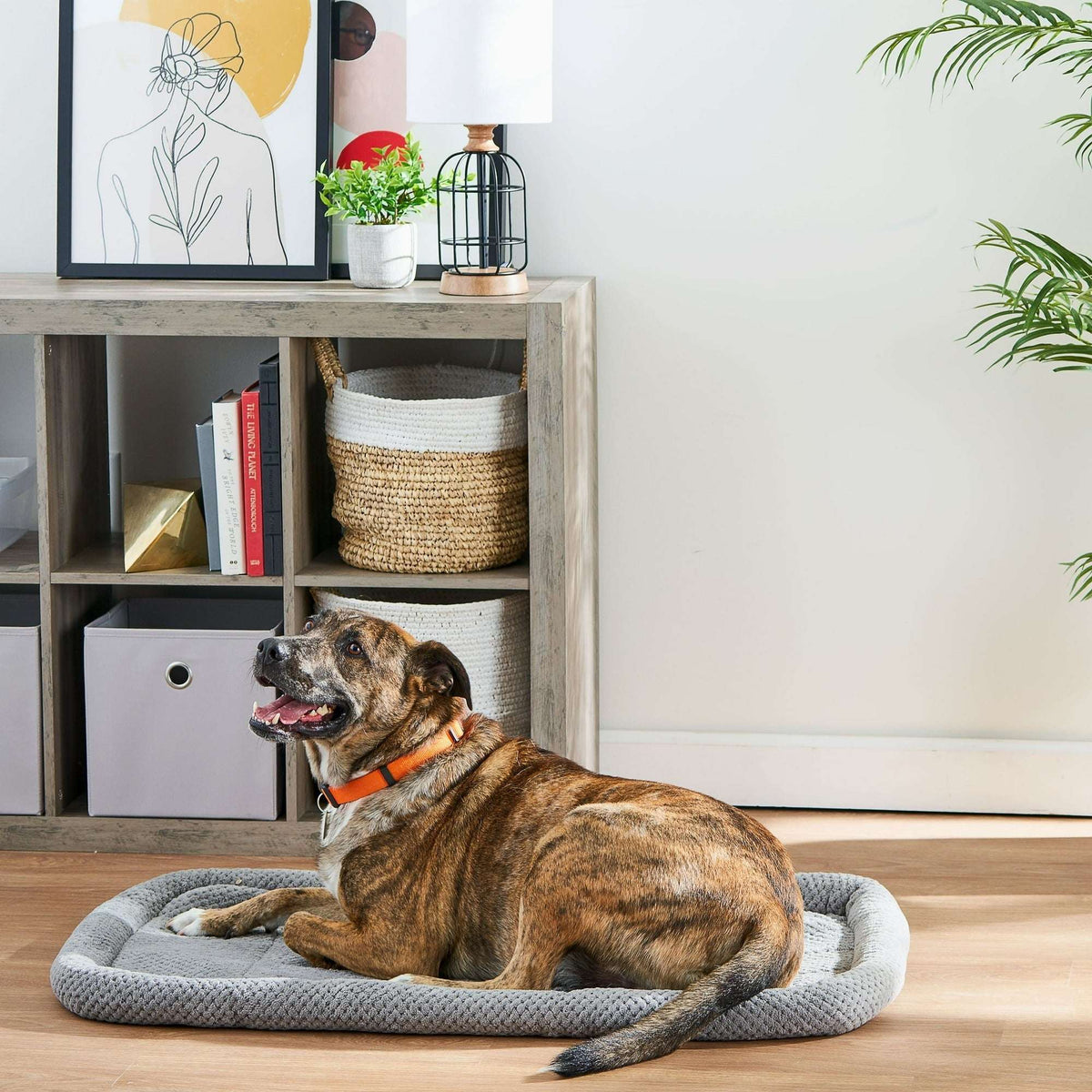 Vibrant Life Cozy Luxe Crate Mat Pet Bed, Gray