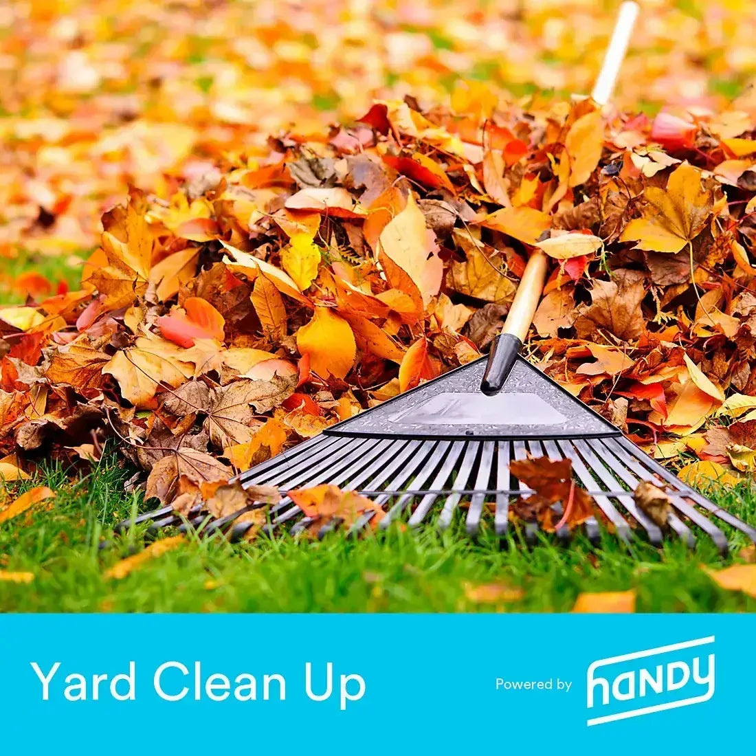Handy Yard Cleanup, 5k-10k Sq. Ft.