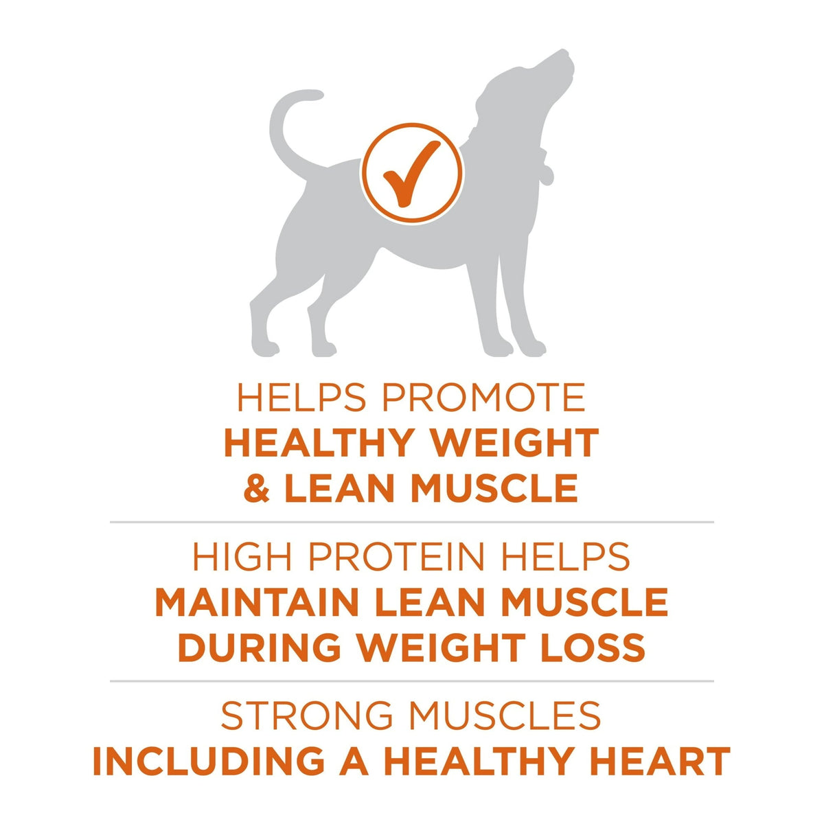 Purina ONE Plus Healthy Weight Dry Dog Food for Adults, High Protein with Real Turkey, 40 lb Bag