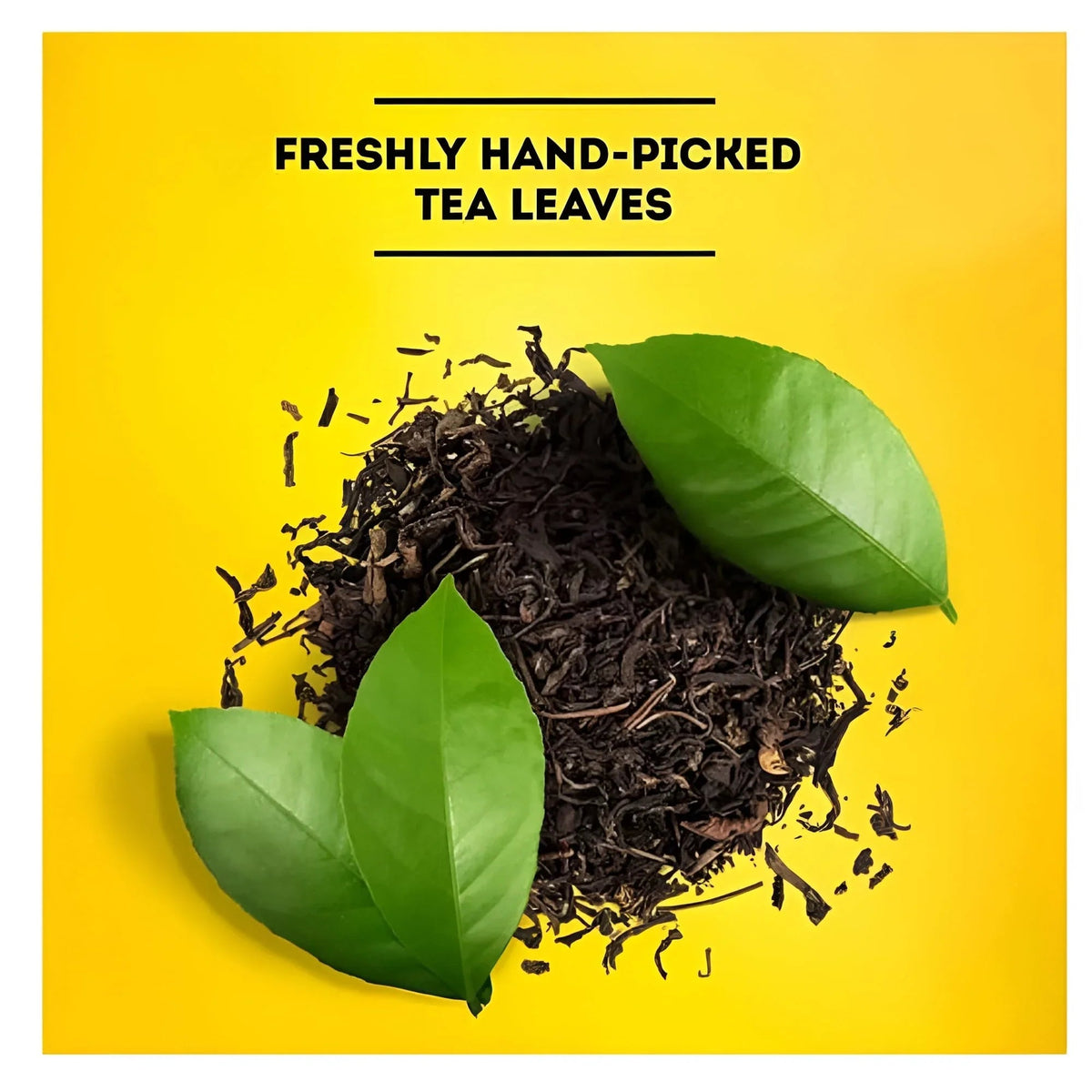 Lipton Iced Tea, Gallon Size Tea Bags (48 ct.)