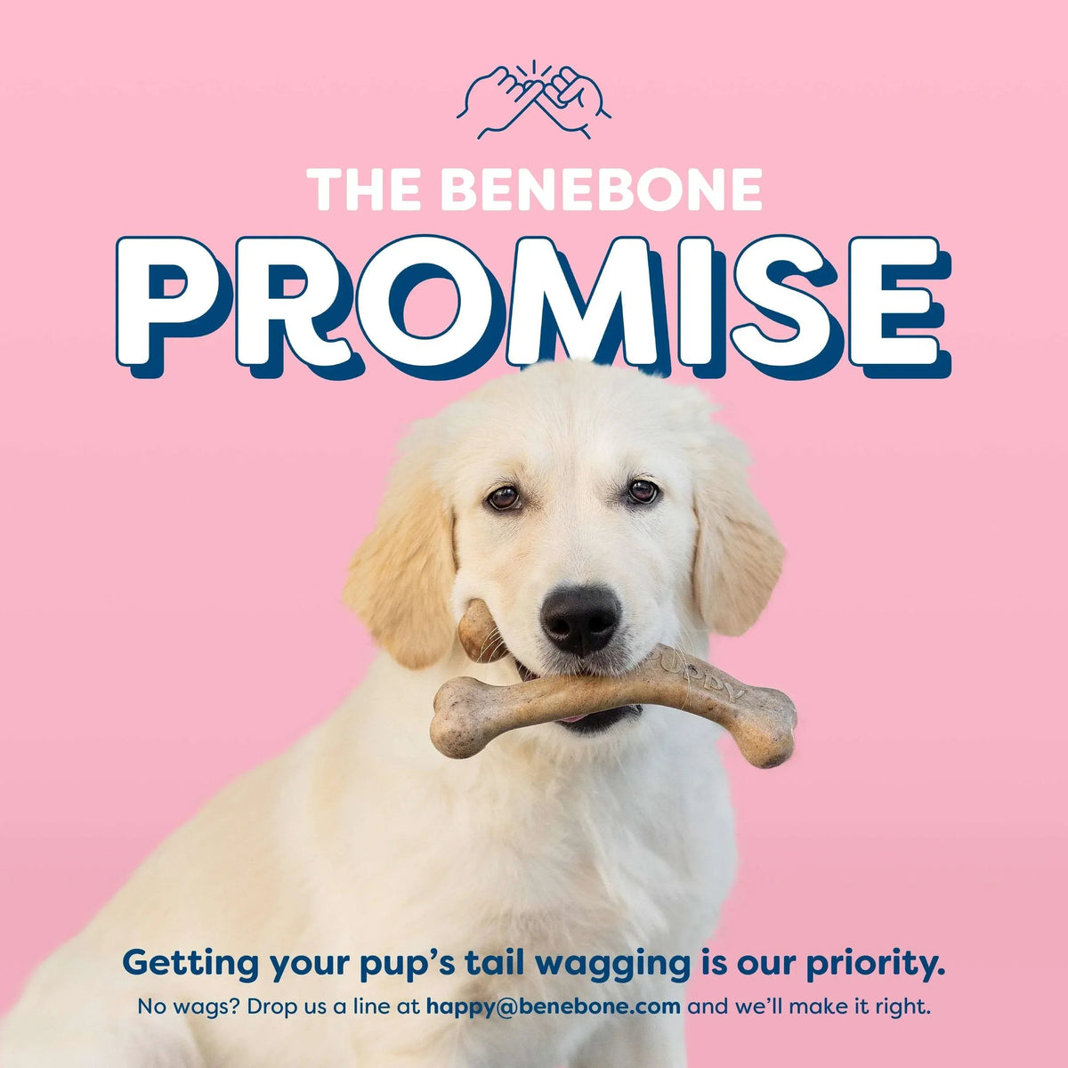 Benebone Essentials Puppy 2-pack Rubber Bone/Wishbone Bacon Tiny