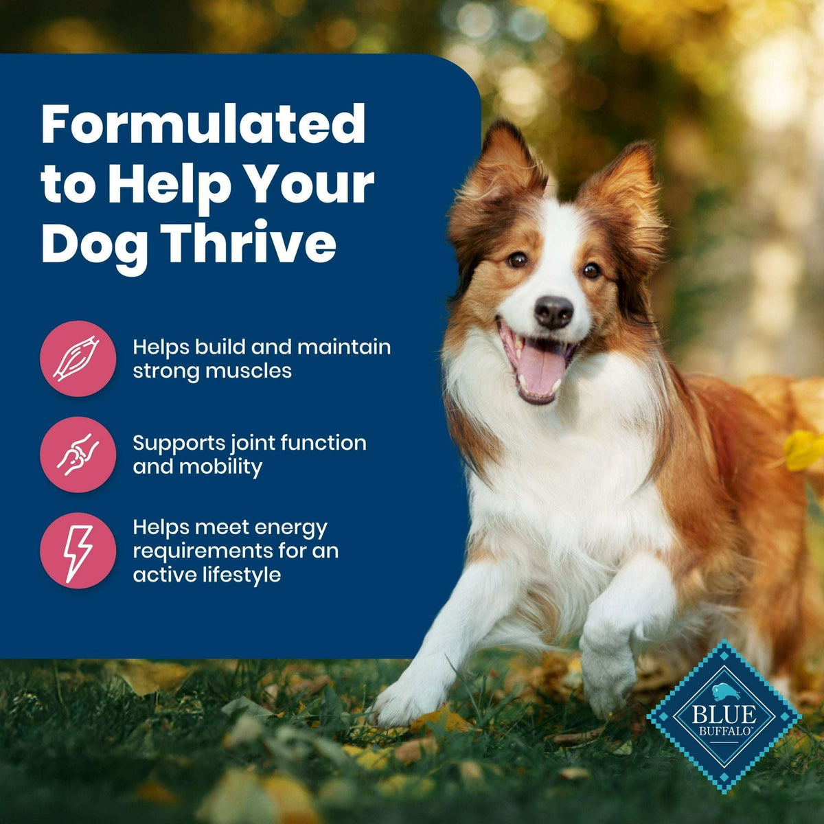 Blue Buffalo Life Protection Formula Adult Dry Dog Food, Salmon & Brown Rice