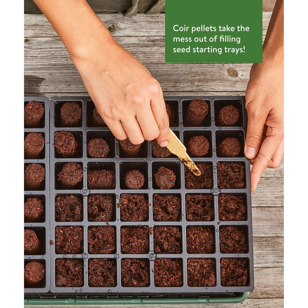 Burpee 72-Cell Super Growing Pellets, For indoor seed starting, fits all Burpee Seed starting trays