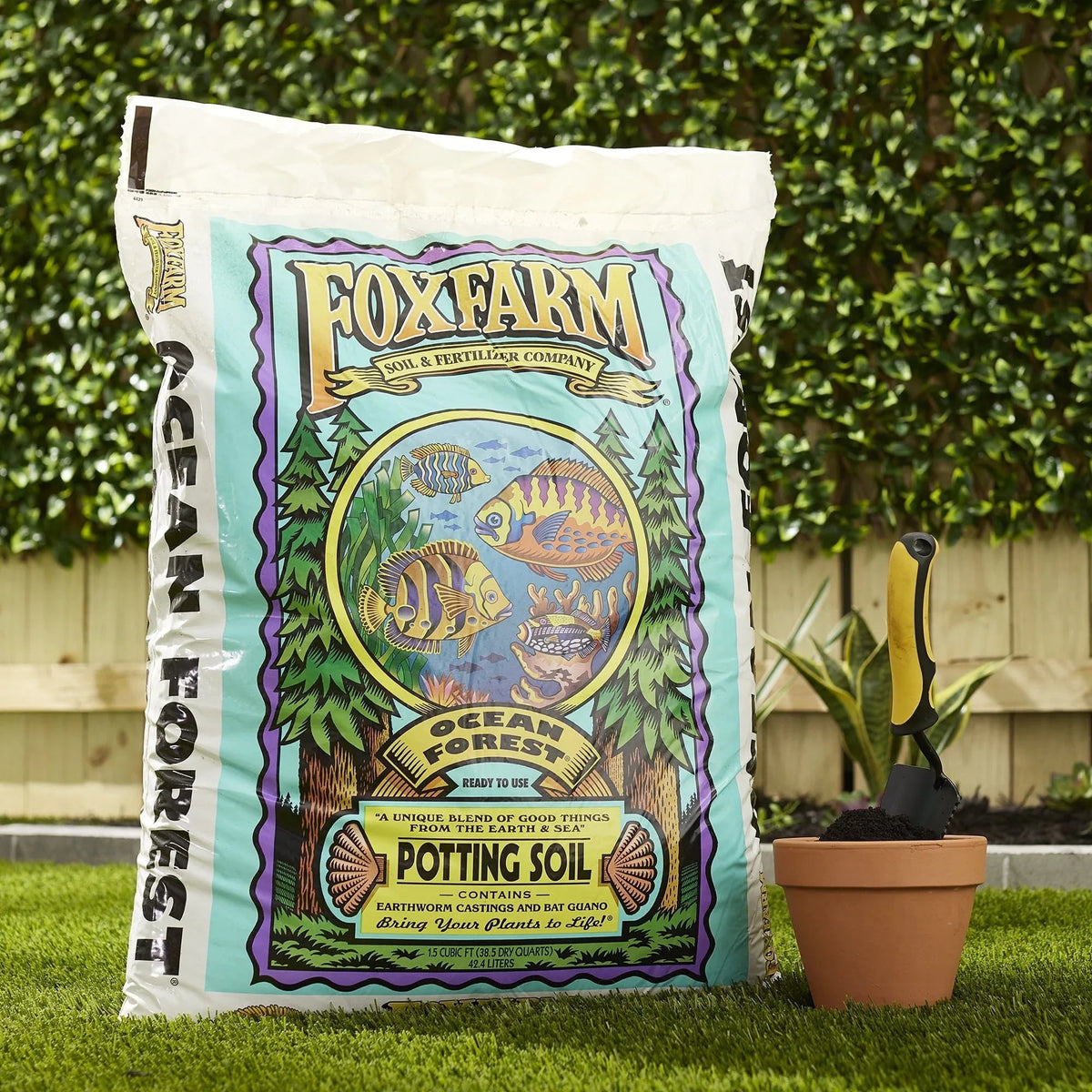 FoxFarm (FX14053) Ocean Forest Organic Potting Soil, 12-Quart (Pack of 1)