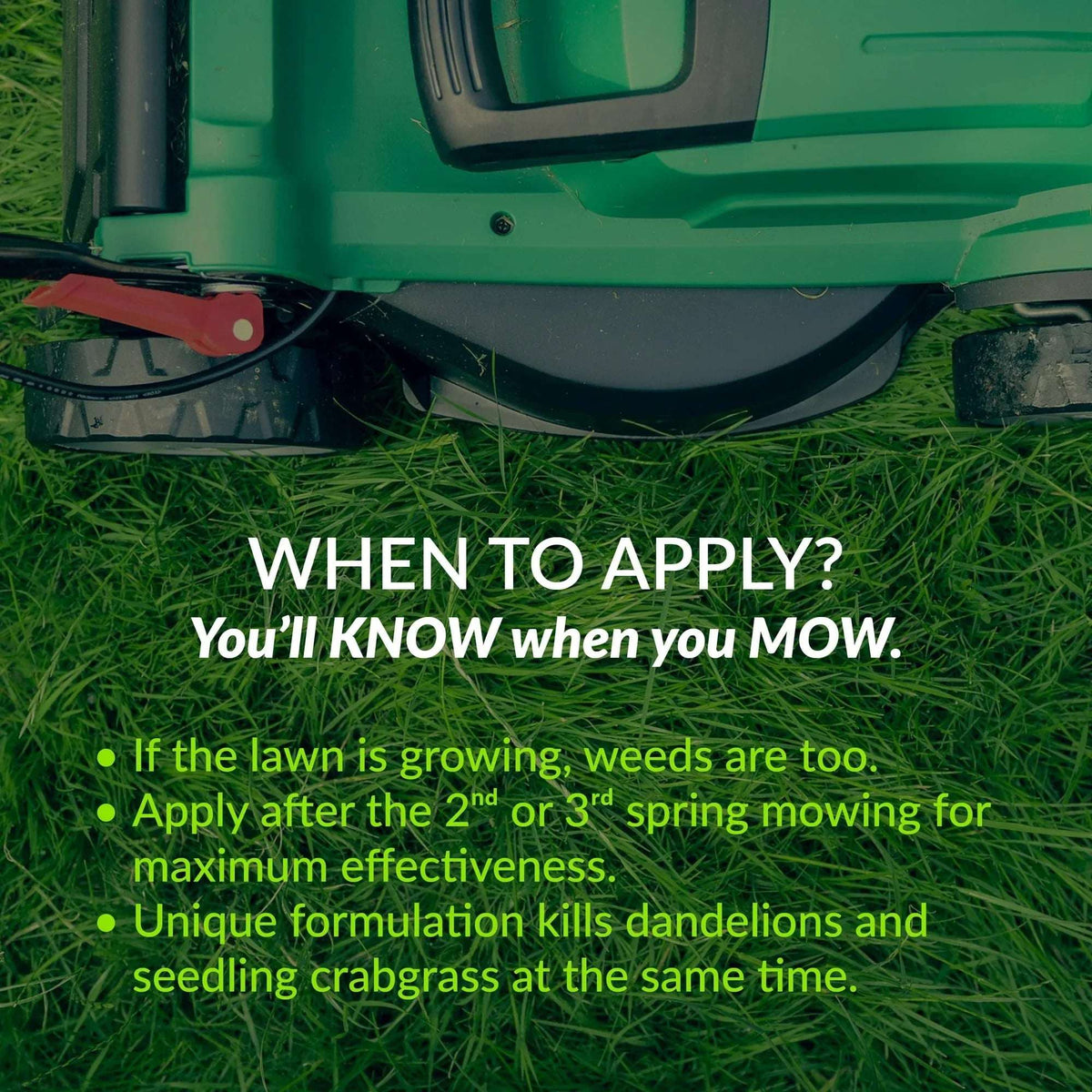 GreenView Fairway Formula Spring Fertilizer Weed & Feed + Crabgrass Preventer - 18 lbs Covers 5,000 Sq. ft