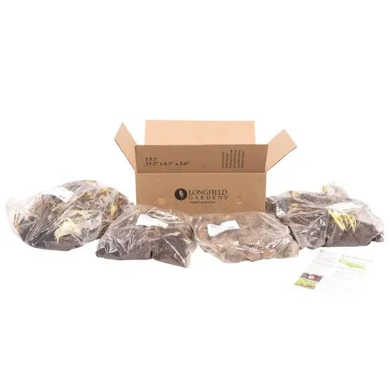 Longfield Garden Solution Collections