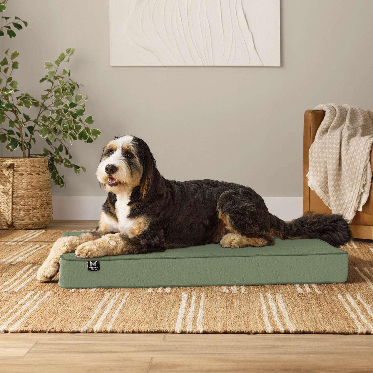 Member's Mark Lounger Pet Bed, 30"x40", Choose Color