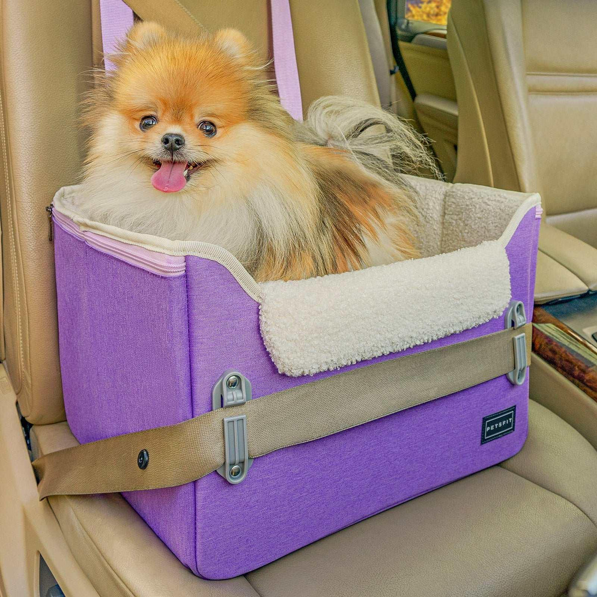 PETSFIT Pet Booster Car Seat for Small Dogs, Puppy Stable Car Seat for Car with Clip-On Leash,Up to 25lbs,Black