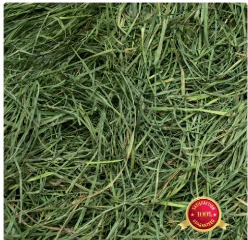 Rabbit Hole Hay, Ultra Premium Soft Orchard Grass; 20lb box