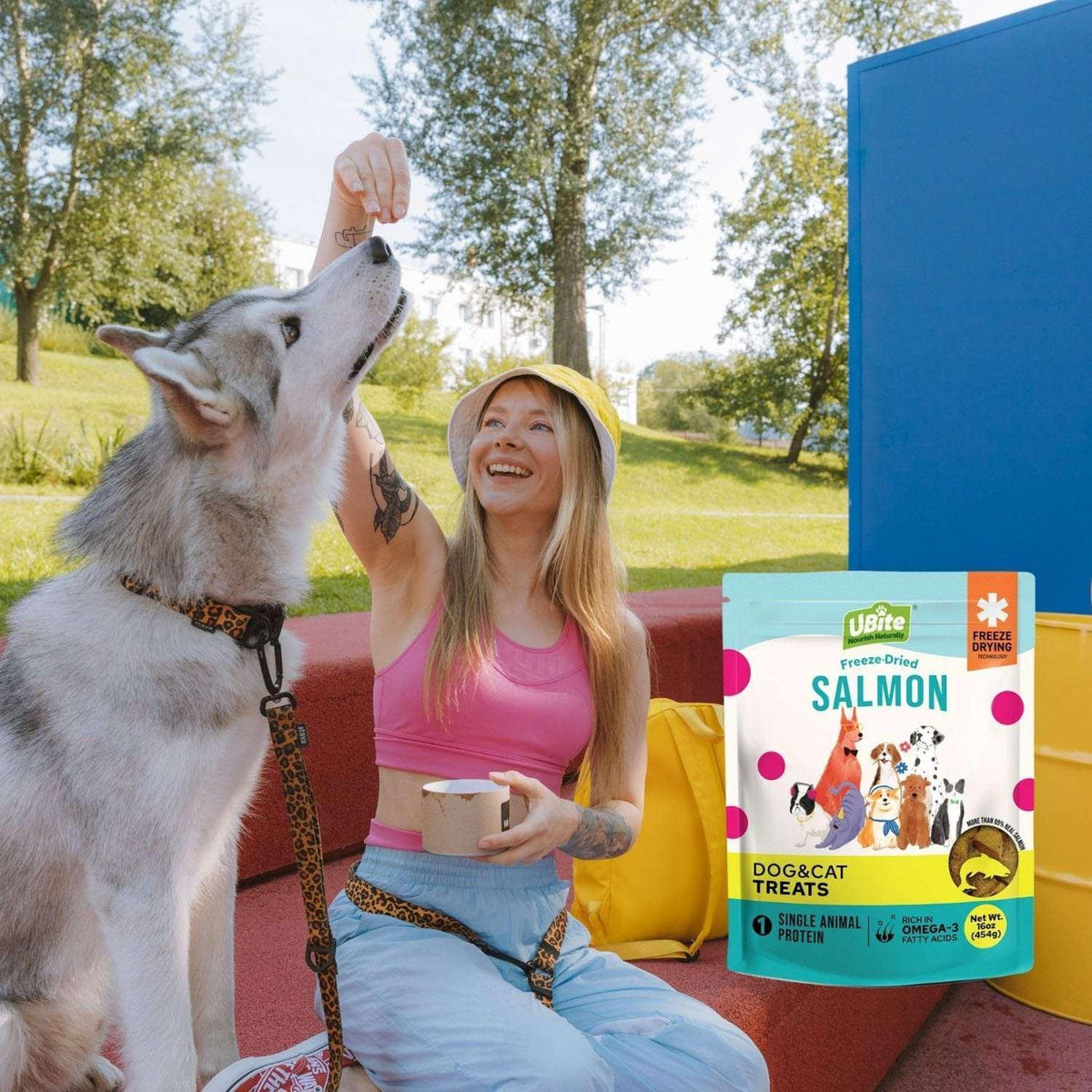 UBite Adult Dog and Cat Salmon Freeze Dried Treats, 16 oz