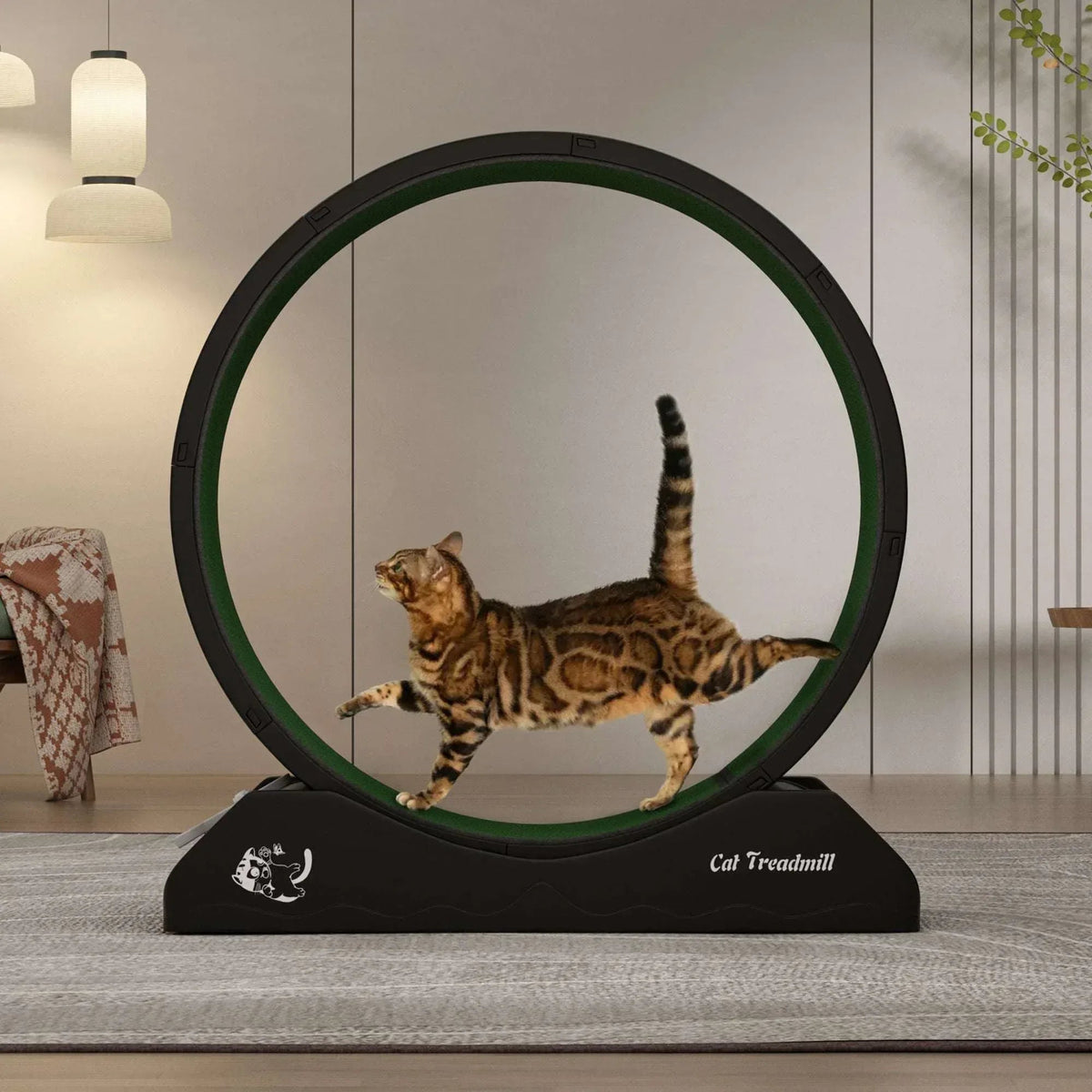 POLAHAKU Cat Exercise Wheel, 31.5'' Cat Treadmill with Carpeted Runway and Safety Lock,Black