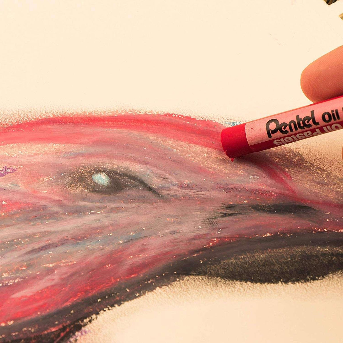 Pentel Oil Pastel 50-Color Set