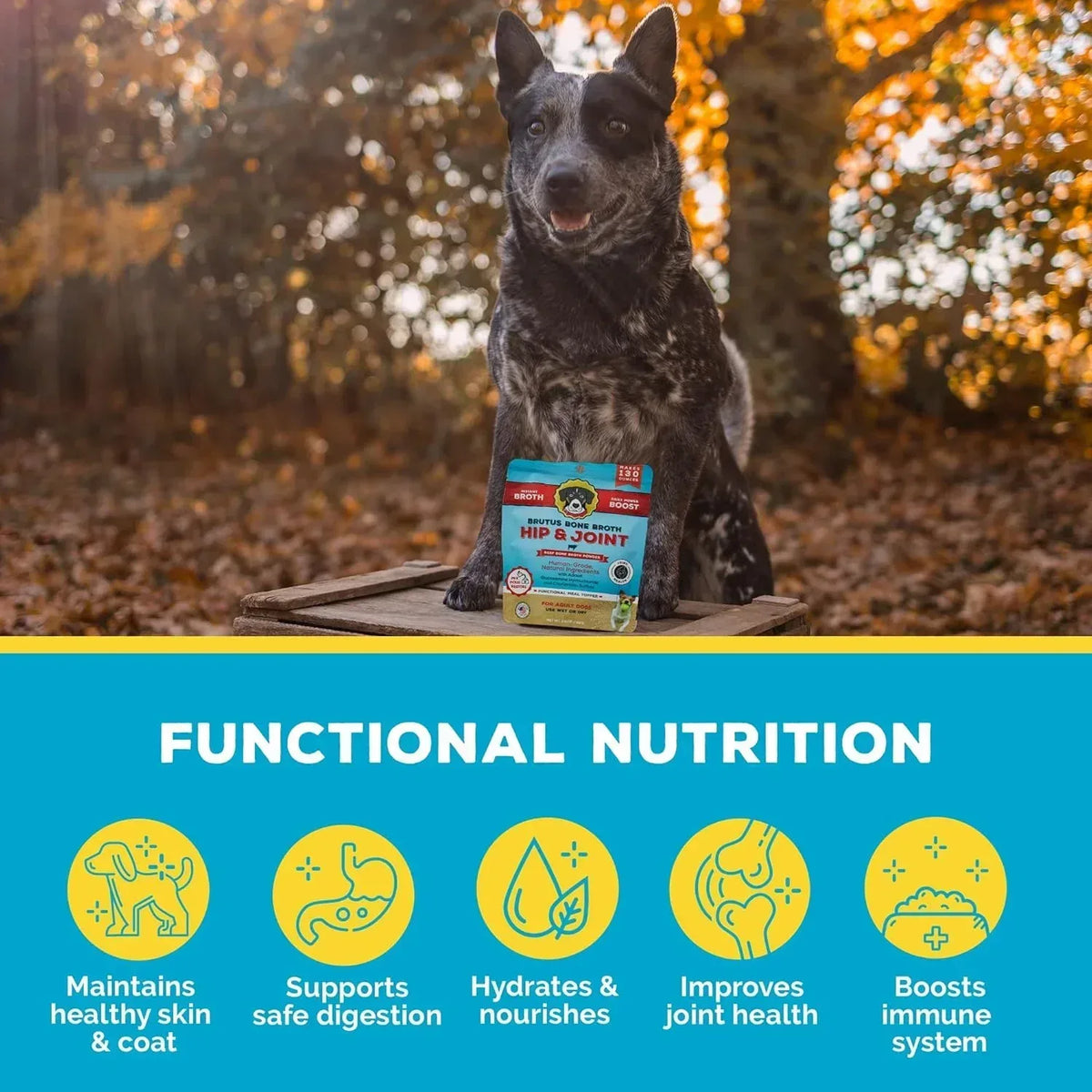 Brutus Bone Broth Biscuits (Beef) - Healthy Dog Treats - Pet Food Topper- Natural Dog Biscuits with Dog Bone Broth and Real Beef for Healthy Joints - 18 Grams of Protein - 8 OZ
