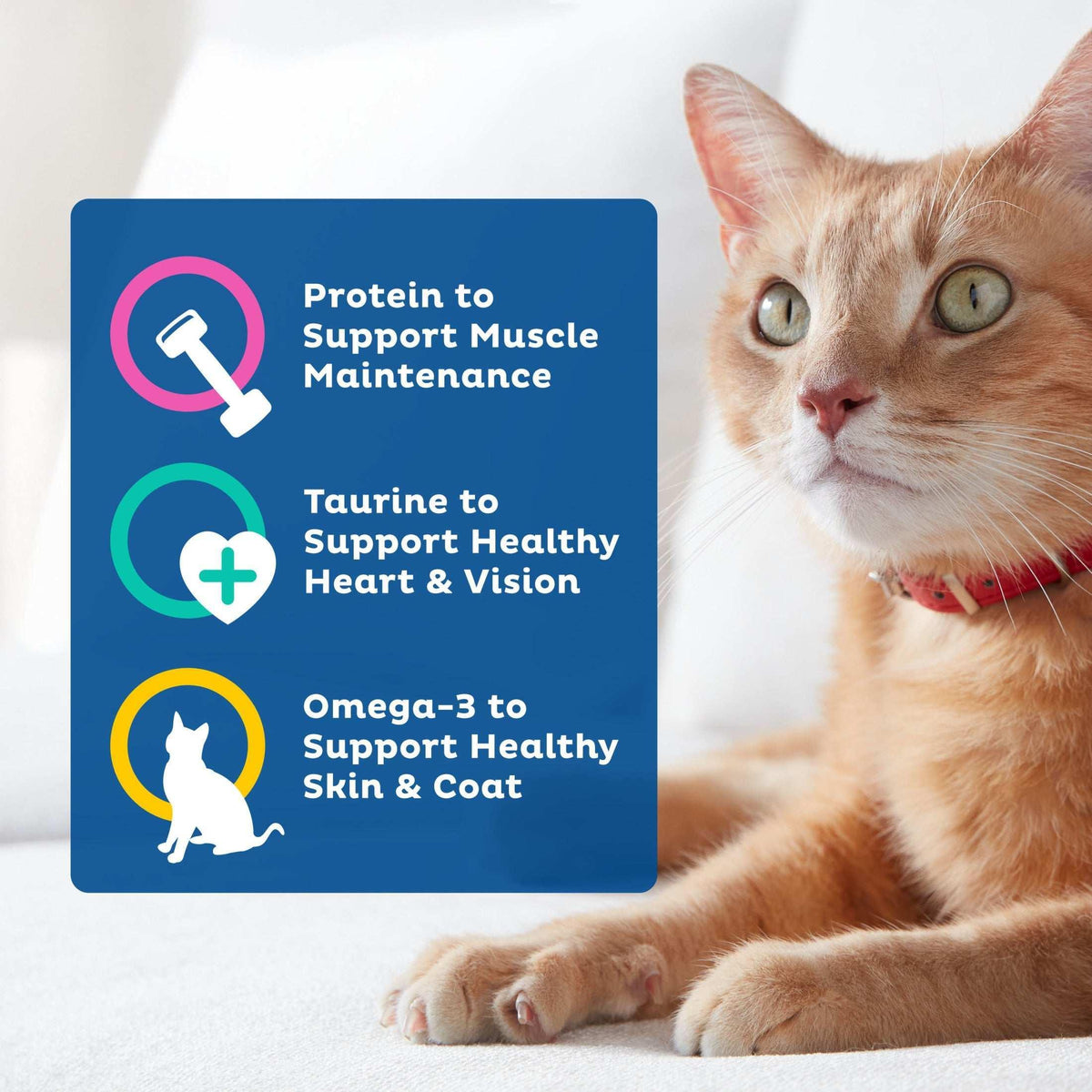 9Lives Daily Essentials Dry Cat Food with Chicken, Beef & Salmon Flavors, 3.15 lb. Bag