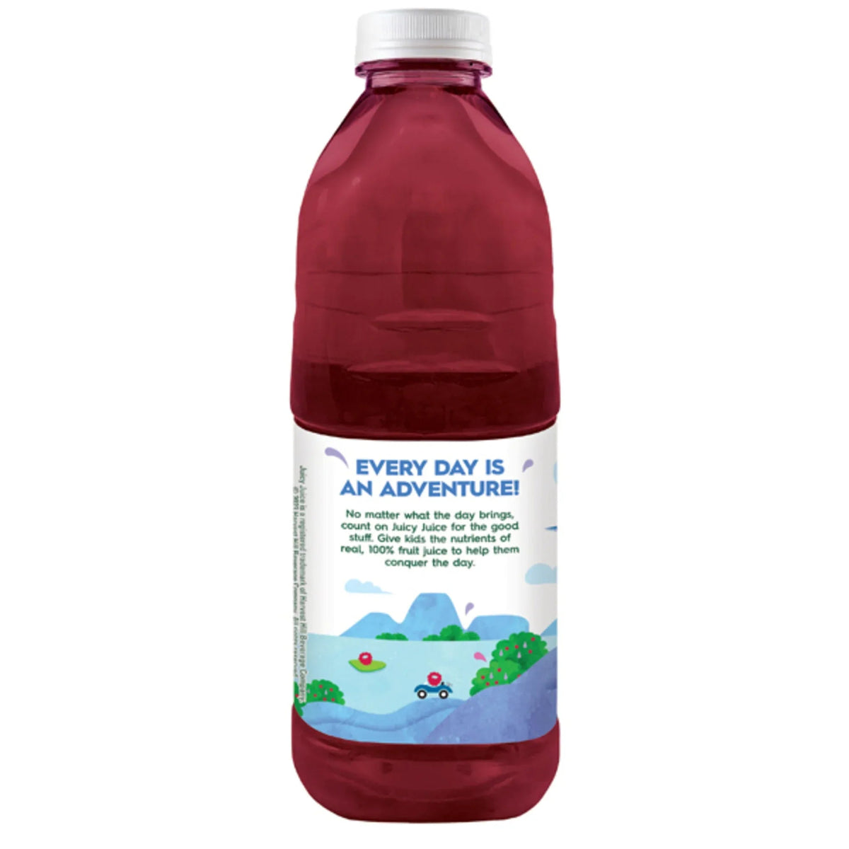 Juicy Juice 100% Juice, Berry, 64 fl oz Bottle