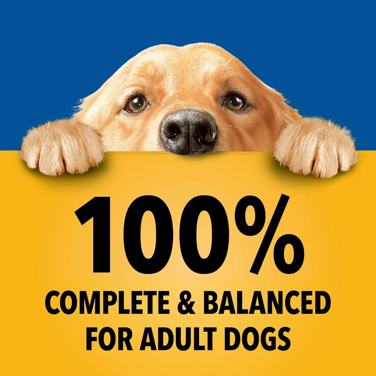 Pedigree Choice Cuts In Gravy Adult Soft Wet Dog Food Country Stew Flavor, 13.2 oz Cans, 12 Count
