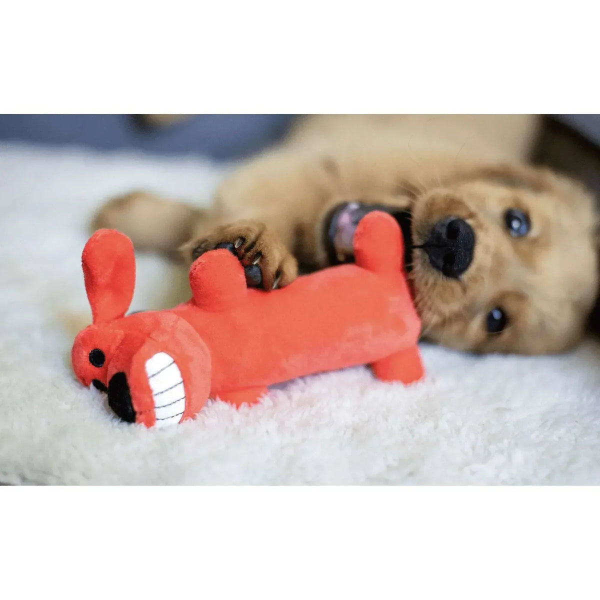 Multipet Smiling Loofa Plush Dog Toy with Squeaker, 6 inch