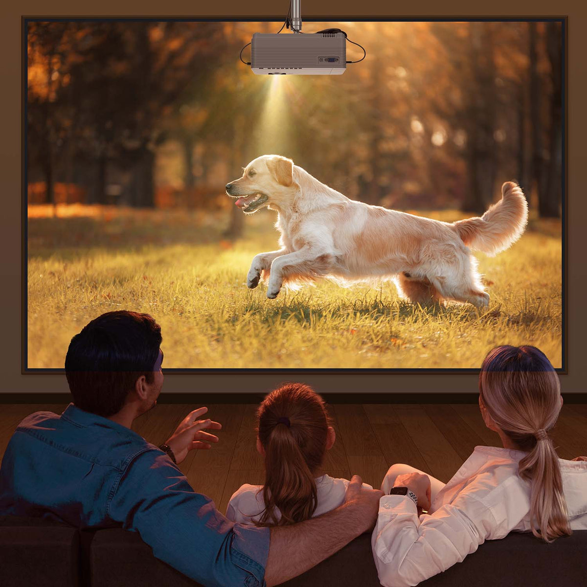 VANKYO Leisure 470 HD Mini Projector with Roku Express Streaming Player, 50000 Hrs LED Life, 240'' Display Screen for Home Theater & Outdoor Movies