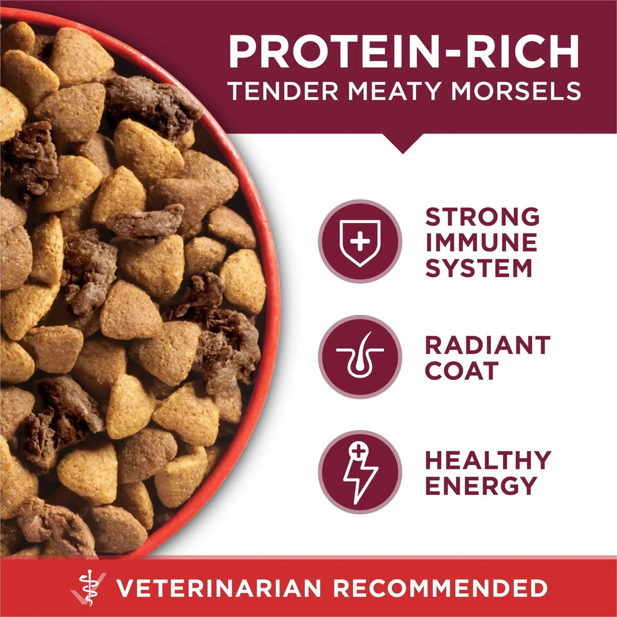 Purina ONE Small Bites Dry Dog Food for Adult Dogs with Added Vitamins & Minerals, High Protein Beef & Rice, 16.5 lb Bag