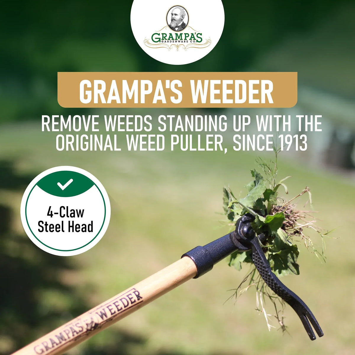 Grampa's Weeder - The Original Stand Up Weed Puller Tool With Long Handle - Made With 4-Claw Steel Head Design - Easily Remove Weeds Without Bending, Pulling, or Kneeling