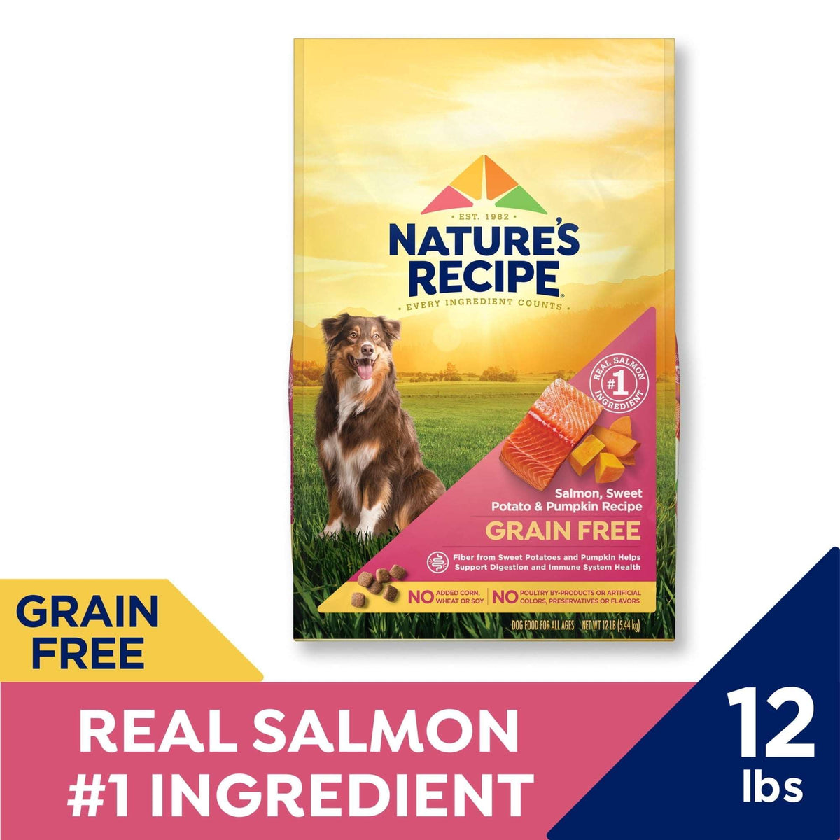 Nature's Recipe Grain Free Salmon, Sweet Potato & Pumpkin Dry Dog Food
