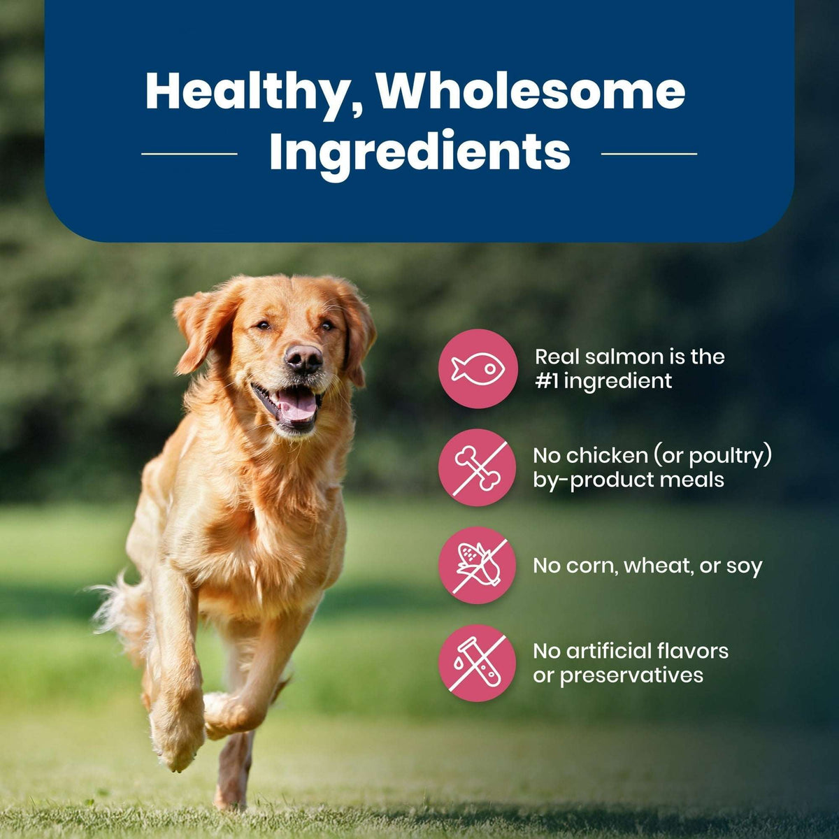 Blue Buffalo Life Protection Formula Adult Dry Dog Food, Salmon & Brown Rice