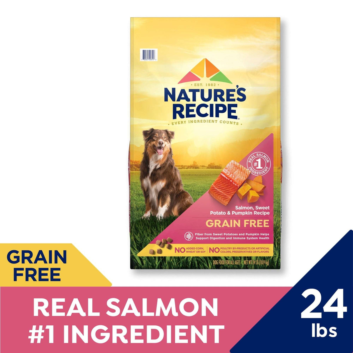 Nature's Recipe Grain Free Salmon, Sweet Potato & Pumpkin Dry Dog Food
