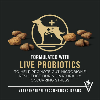 Purina Pro Plan Complete Essentials Shredded Blend Salmon and Rice Dry Dog Food Formula with Probiotics for Dogs, 5 lb Bag