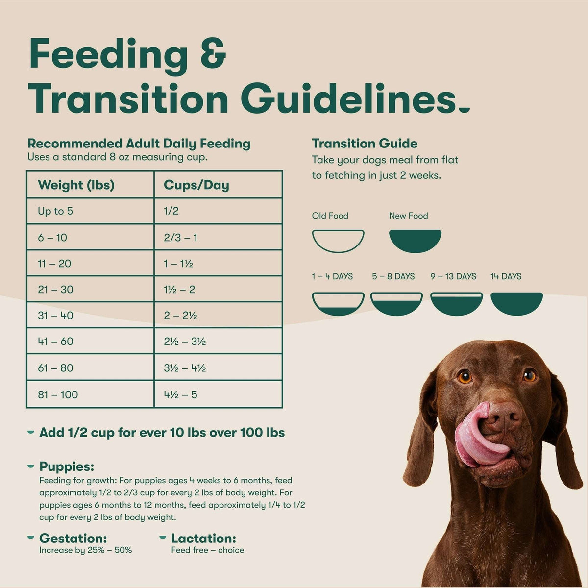 Jinx Salmon, Sweet Potato, & Carrot Grain Free Dry Dog Food, 4 lbs Bag