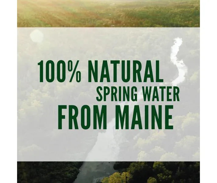 Poland Spring 100% Natural Spring Water Bottles – 20 fl oz, 28-Pack