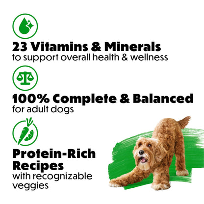 Purina Beneful Dog Food Freshly Prepared Meals Variety Pack Wet Dog Food with Gravy