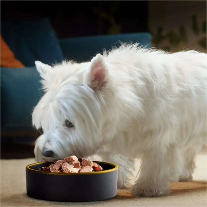 Cesar Classic Loaf In Sauce Wet Dog Food Variety Pack, 3.5 Oz Trays (24 Pack)