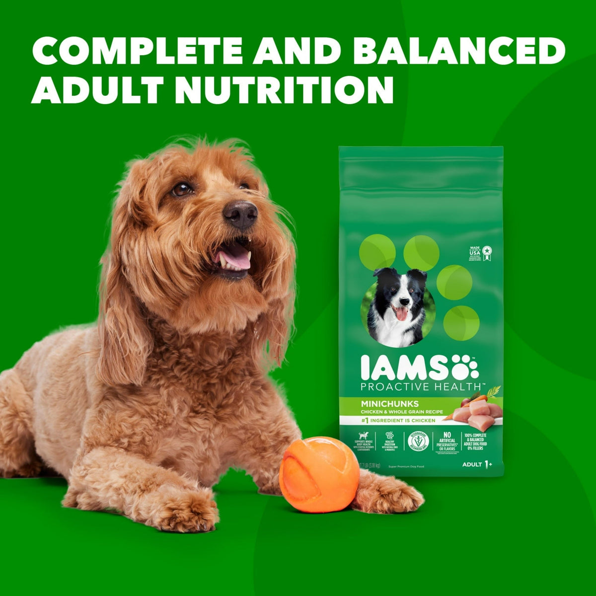 IAMS Proactive Health Adult Minichunks Chicken & Whole Grain Recipe Dry Dog Food