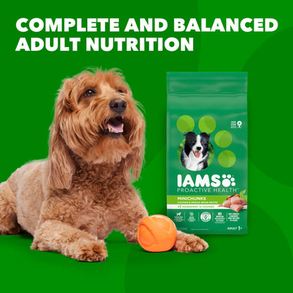 IAMS Proactive Health Adult Minichunks Chicken & Whole Grain Recipe Dry Dog Food