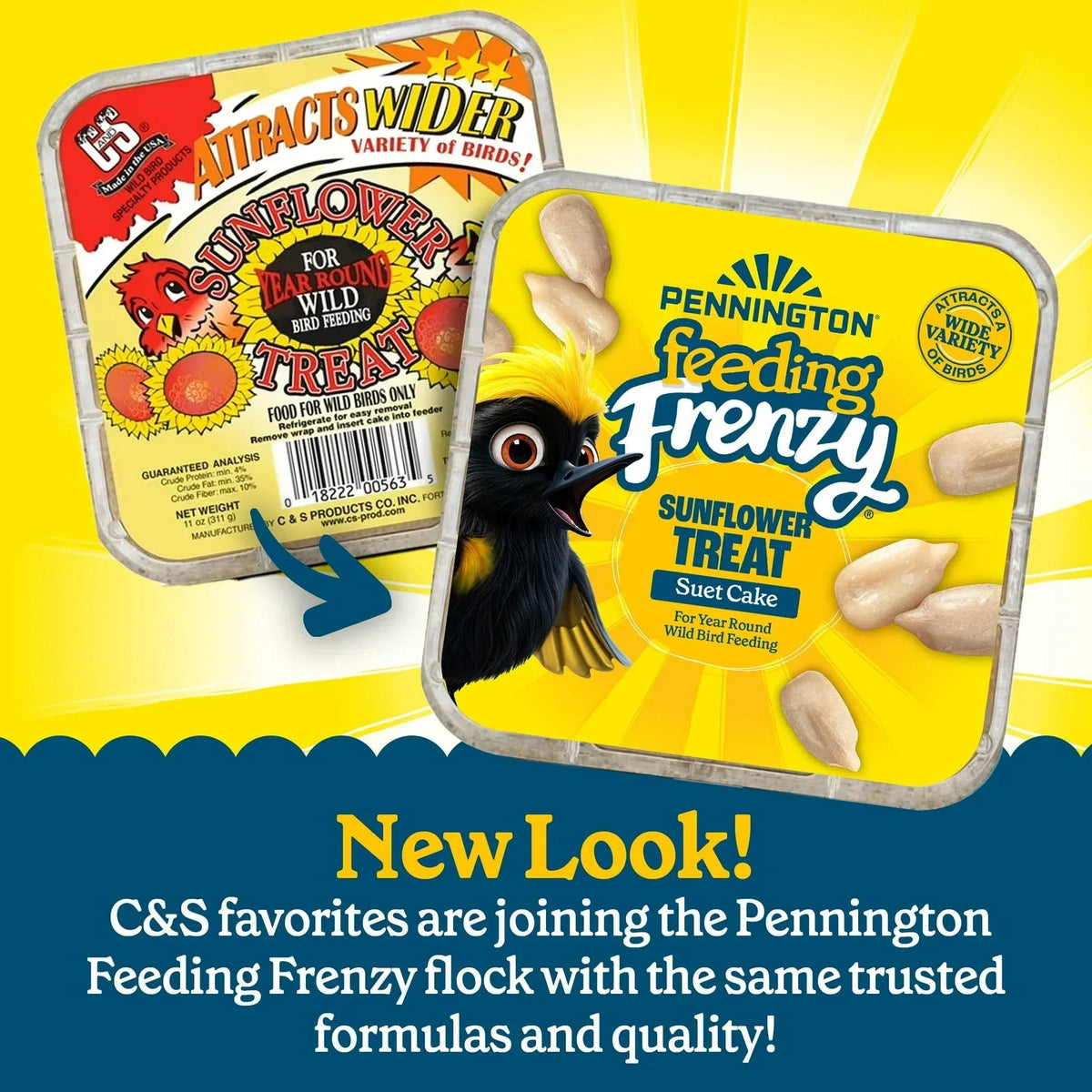 (12 pack) Pennington Feeding Frenzy Sunflower Suet Treat Cake 11 oz, Wild Bird Food, Suet Cakes for Wild Birds, 1 Pack, Fresh