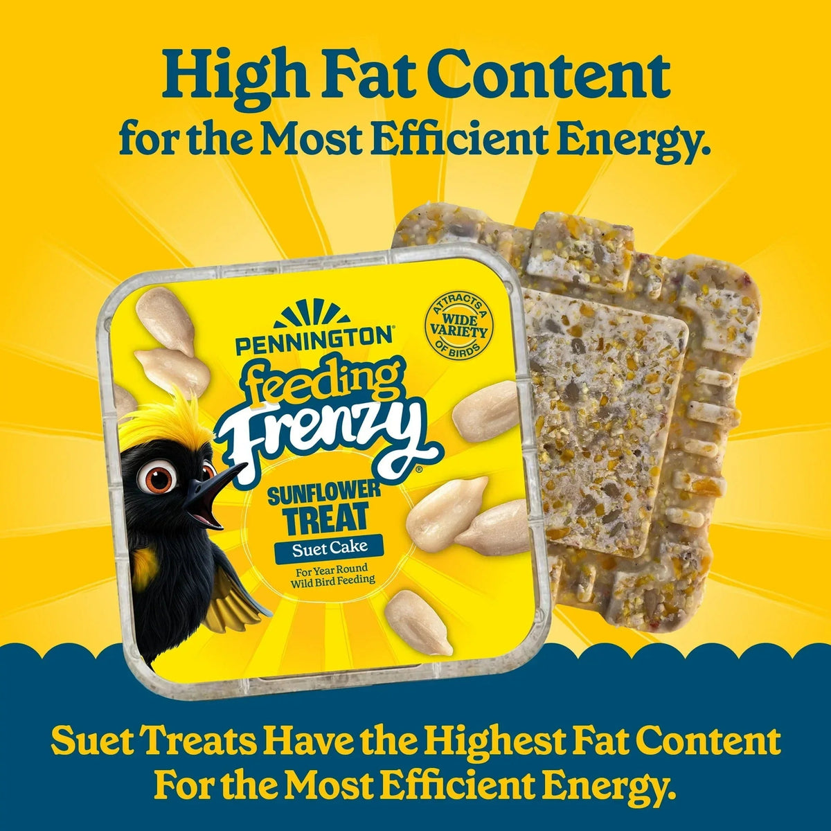 (12 pack) Pennington Feeding Frenzy Sunflower Suet Treat Cake 11 oz, Wild Bird Food, Suet Cakes for Wild Birds, 1 Pack, Fresh