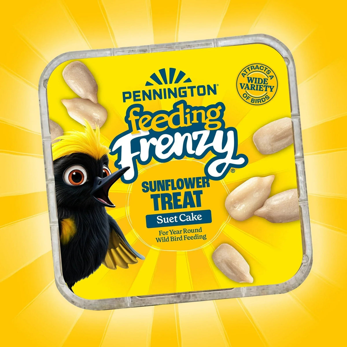 (12 pack) Pennington Feeding Frenzy Sunflower Suet Treat Cake 11 oz, Wild Bird Food, Suet Cakes for Wild Birds, 1 Pack, Fresh