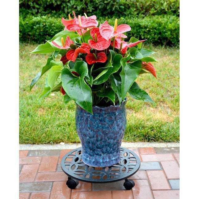 allen + roth 17-in L x 17-in D x 2.7-in H Black Plant Caddy