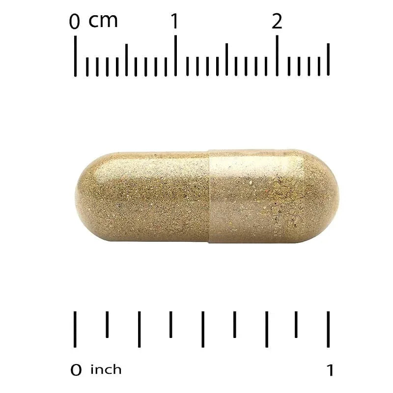 California Gold Nutrition, EuroHerbs™, Lemon Balm Extract, Euromed Quality, 500 mg