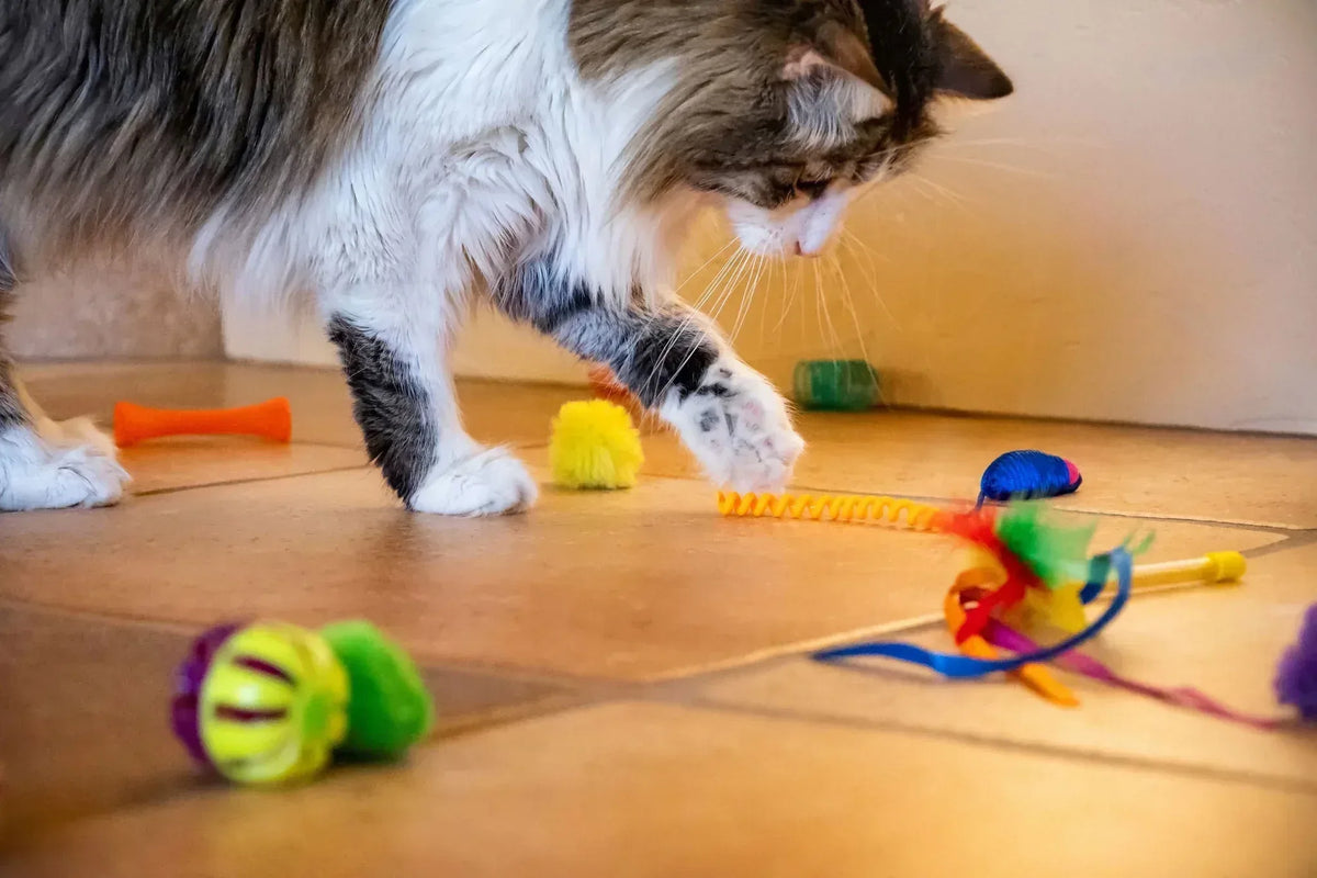 Vibrant Life 24 Piece Value Pack Cat Toys