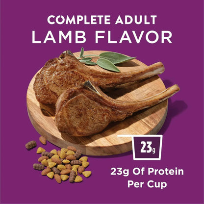 Purina Dog Chow Complete Dry Dog Food for Adult Dogs High Protein, Lamb