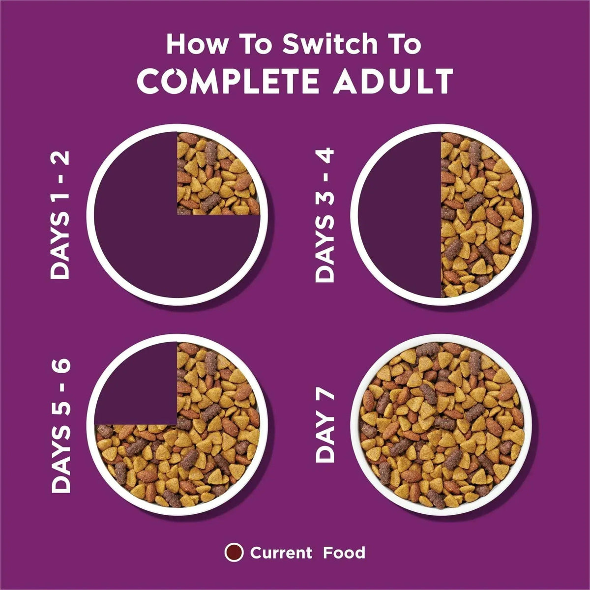 Purina Dog Chow Complete Dry Dog Food for Adult Dogs High Protein, Lamb