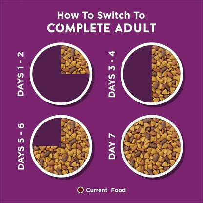 Purina Dog Chow Complete Dry Dog Food for Adult Dogs High Protein, Lamb