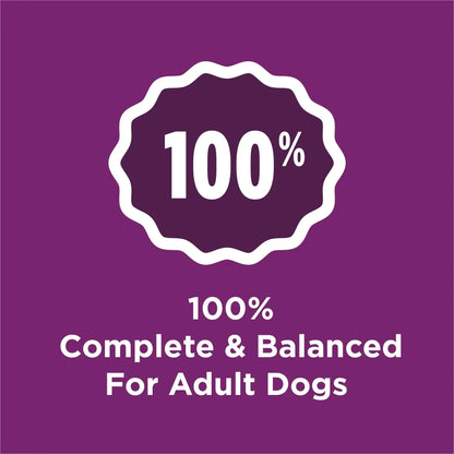 Purina Dog Chow Complete Dry Dog Food for Adult Dogs High Protein, Lamb