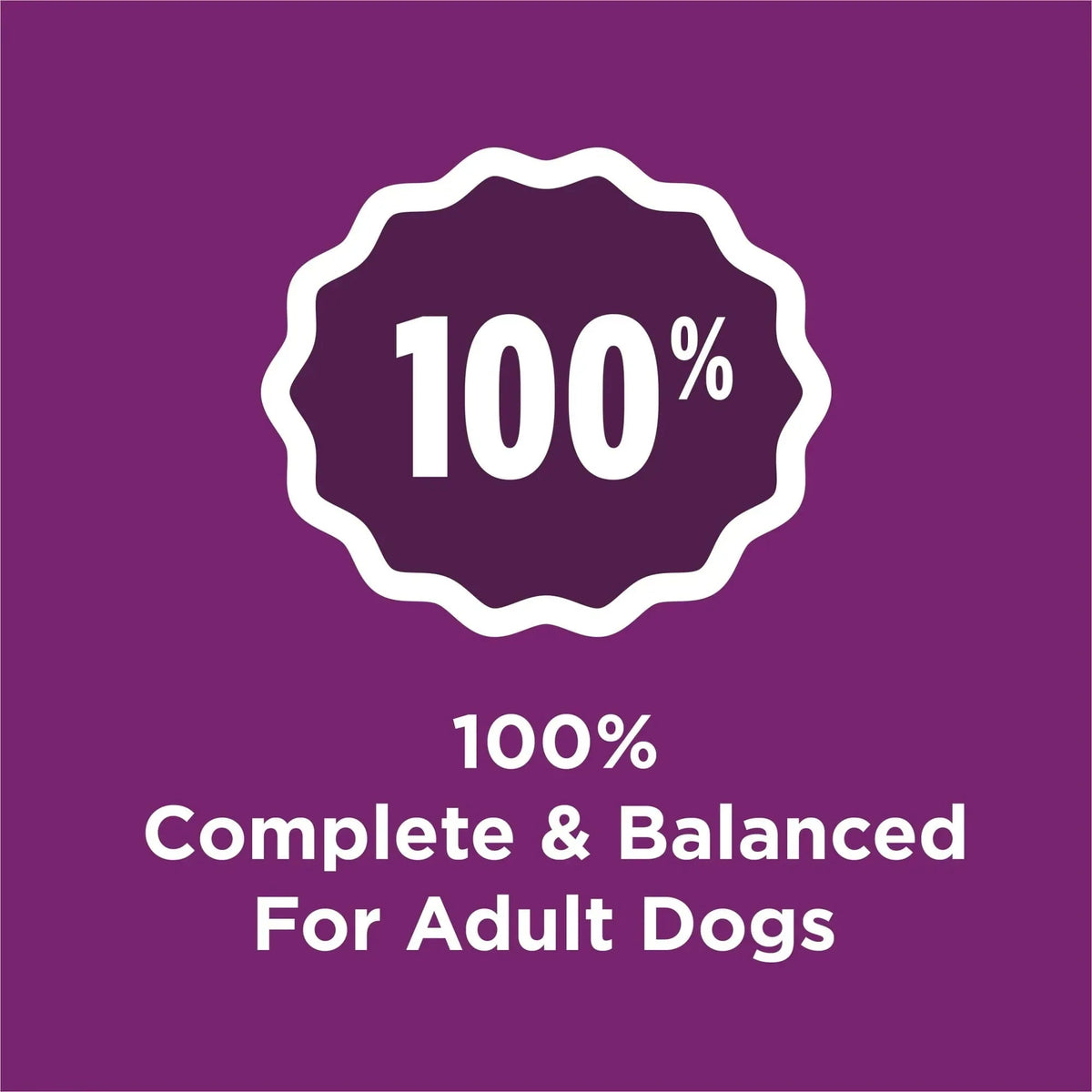 Purina Dog Chow Complete Dry Dog Food for Adult Dogs High Protein, Lamb