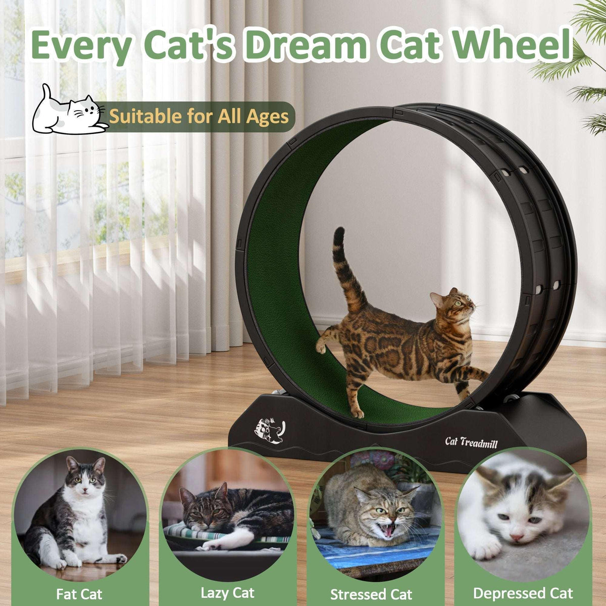POLAHAKU Cat Exercise Wheel, 31.5'' Cat Treadmill with Carpeted Runway and Safety Lock,Black
