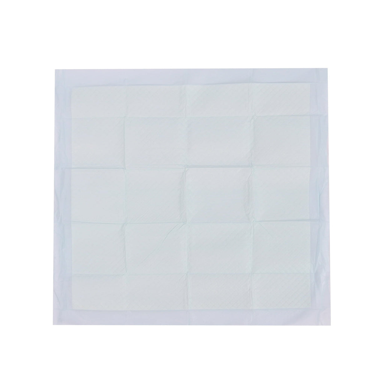 Vibrant Life Training Pads – Super Absorbent, Leak Proof, & Fast Dry Dog and Puppy Pee Pads – L 22 in x 22 in, 50 Count