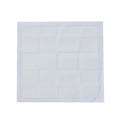 Vibrant Life Training Pads – Super Absorbent, Leak Proof, & Fast Dry Dog and Puppy Pee Pads – L 22 in x 22 in, 50 Count