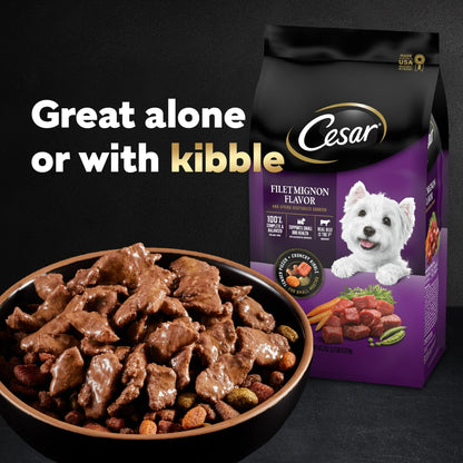 Cesar Filets In Gravy Variety Pack Wet Dog Food For Adult Dogs, 3.5 Oz Tray (24 Pack)